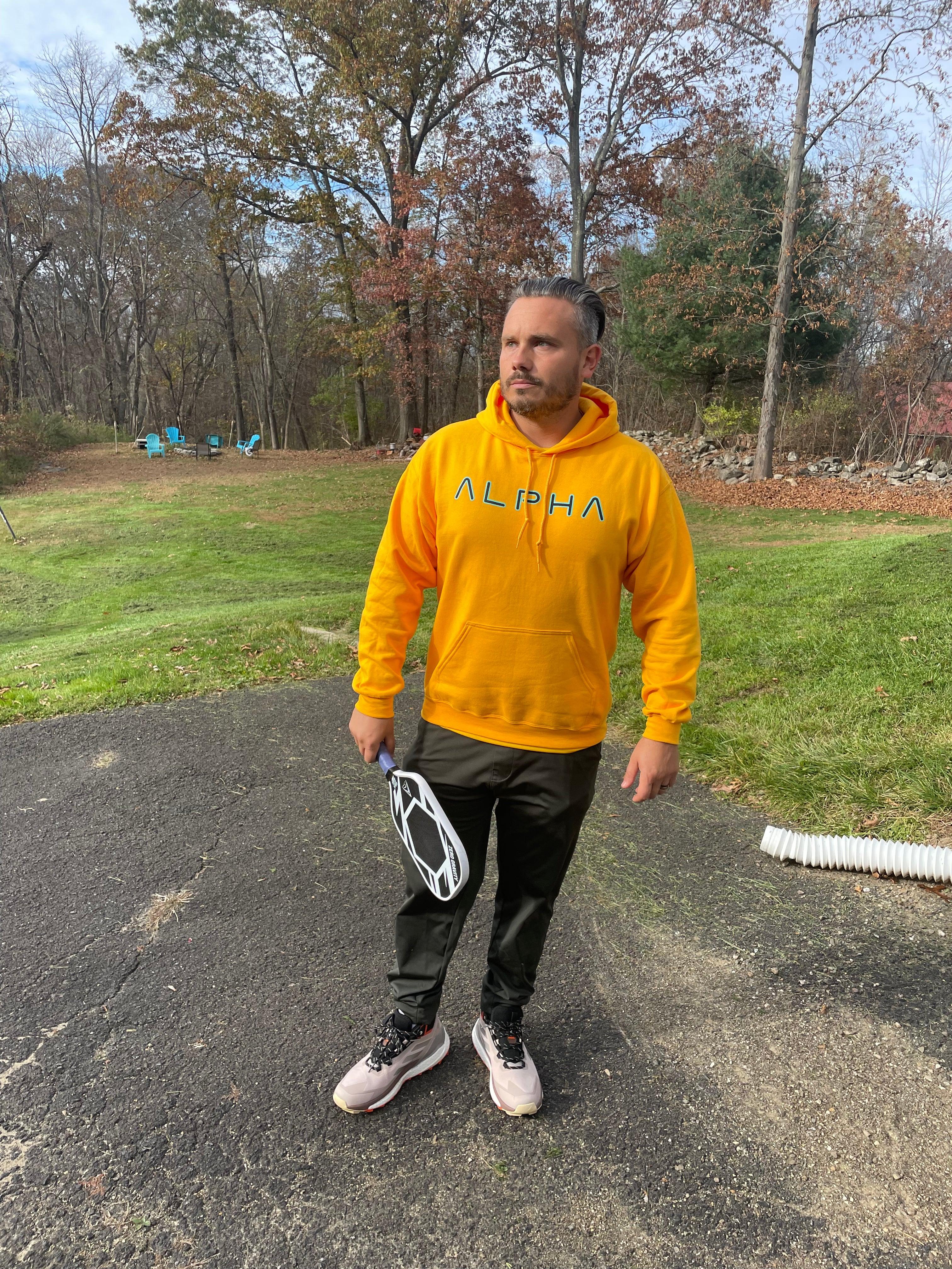Alpha Heavy Weight Classic Fit Hoodie - Image 14